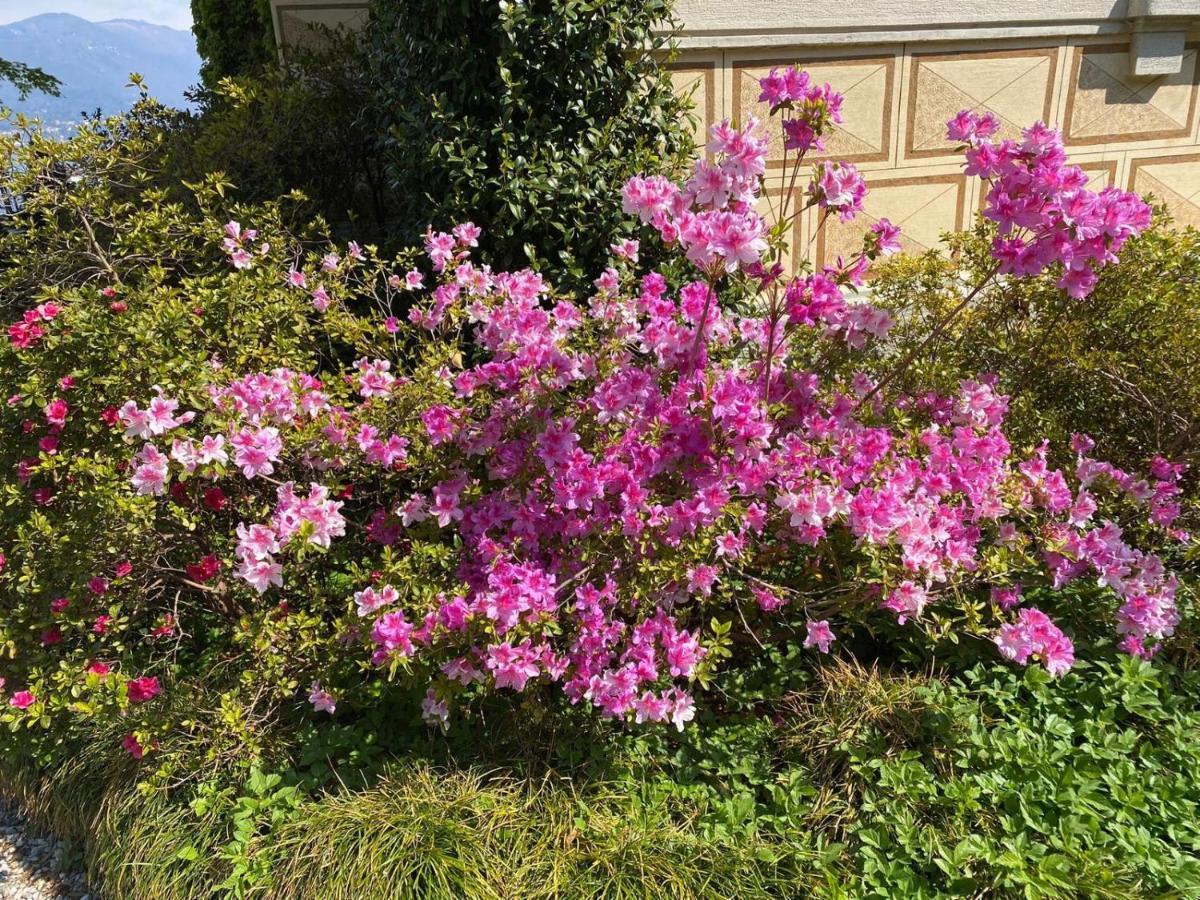 Villino Tarlarini Villa ลาเวโน มอมเบลโล ภายนอก รูปภาพ